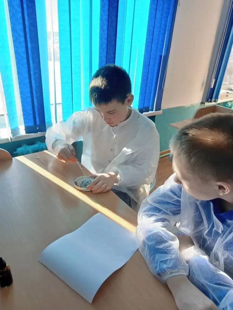 Определение качества.