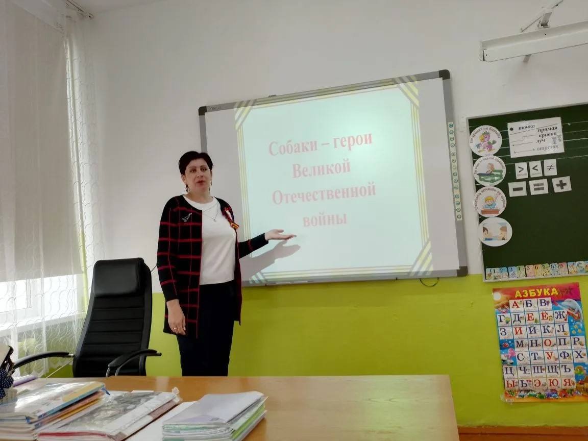 Собаки-герои Великой Отечественной войны.