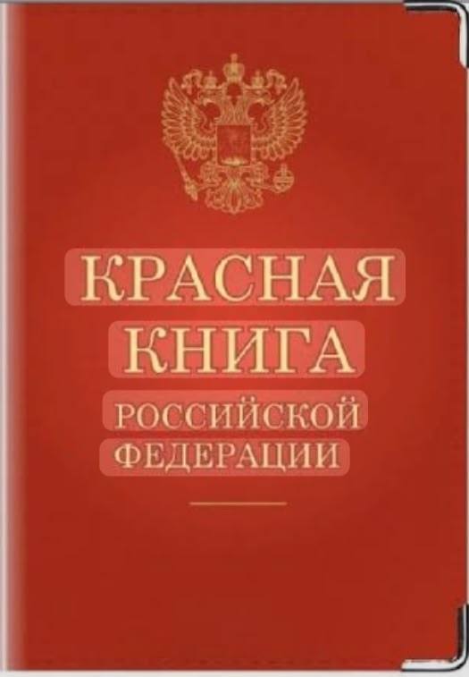 День Красной книги.